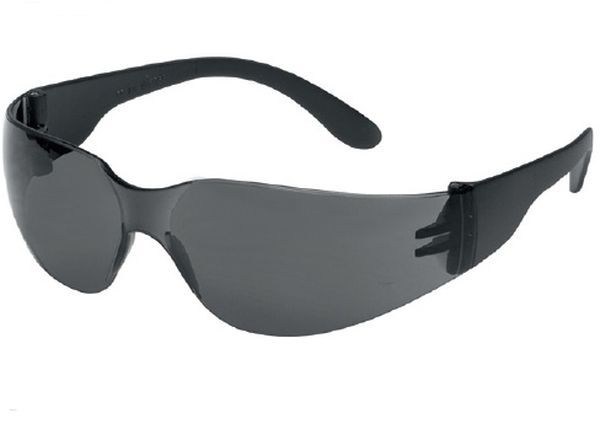 F-TECTOR-Schutzbrille, '*CHAMP*, grau