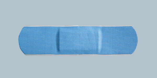 SCHLACHTHAUSFREUND-Pflaster, detektierbar, blau, wasserabweisend, 20 x 70 mm, 100 Stck, 8570